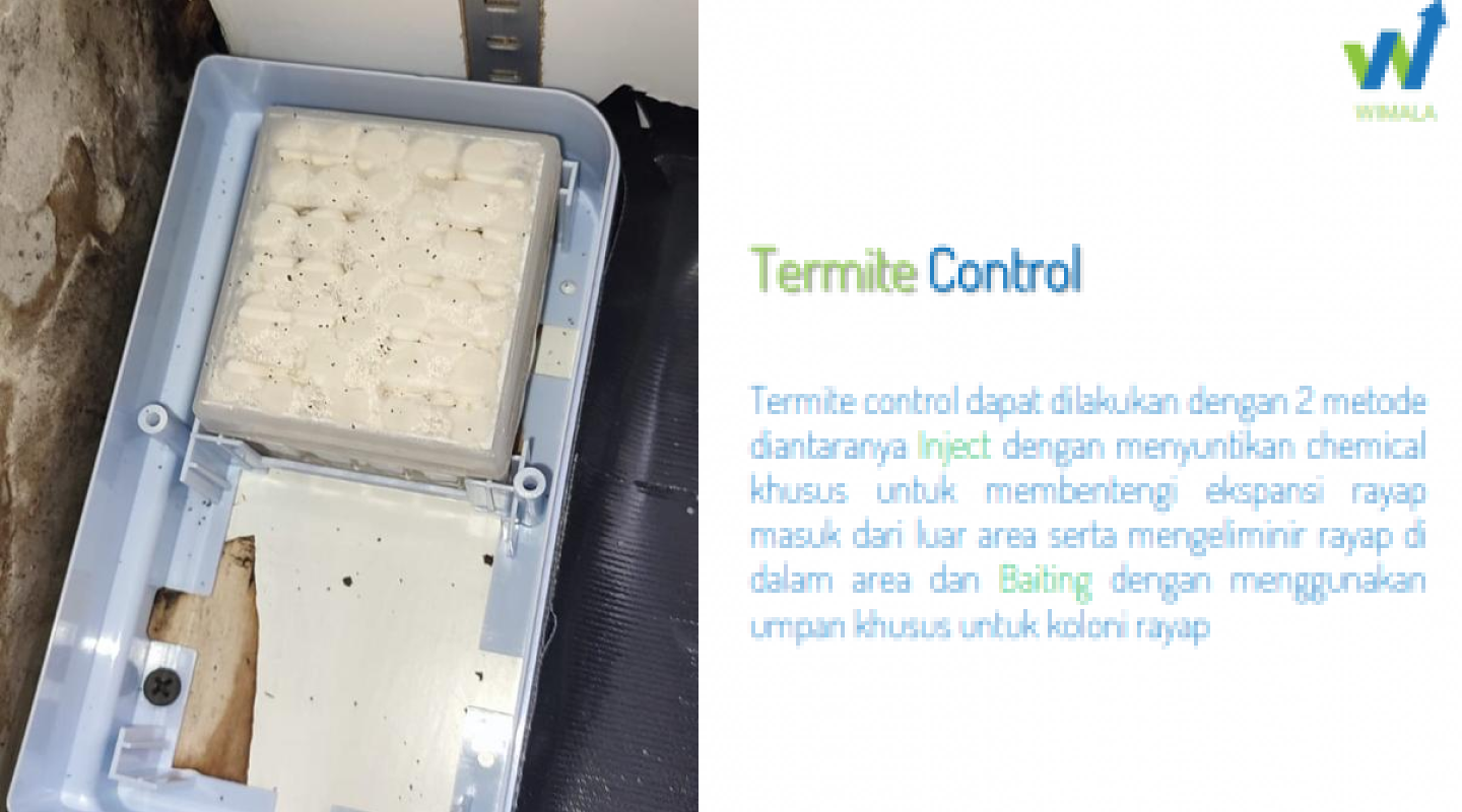 termite-control